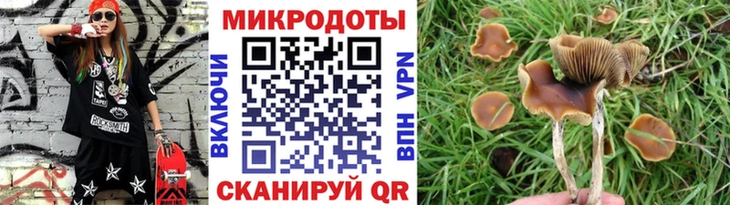 купить наркотик  Краснокамск  Псилоцибиновые грибы ЛСД 